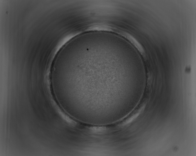 X0000102000893200807181202