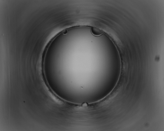 X0000102000894200807181202