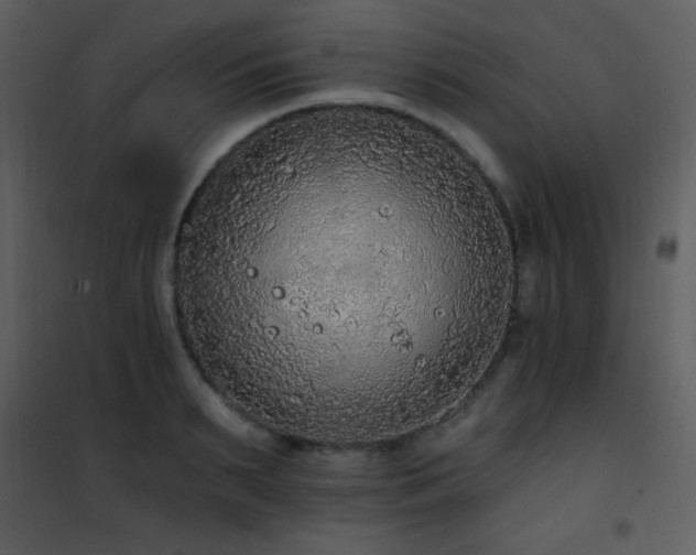 X0000102000895200807181202