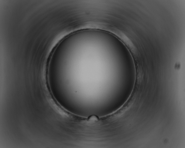 X0000102000896200807181202