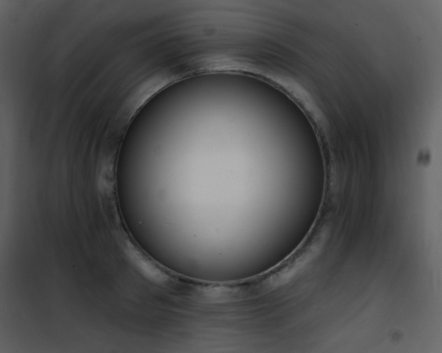 X0000102000897200807181202