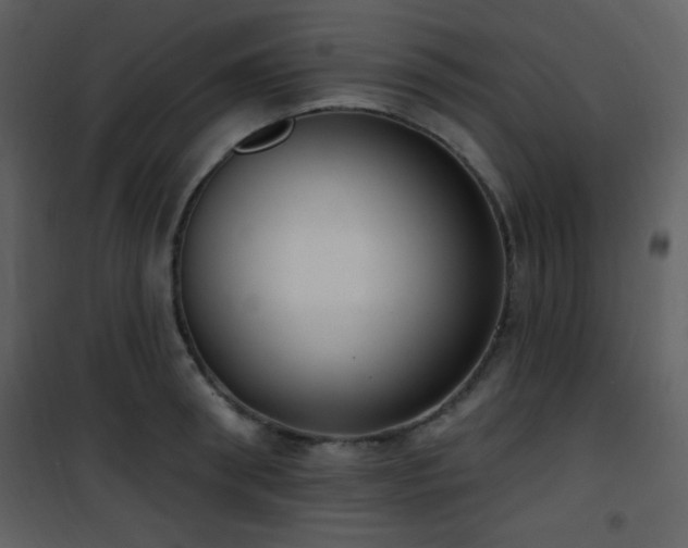 X0000102000898200807181202