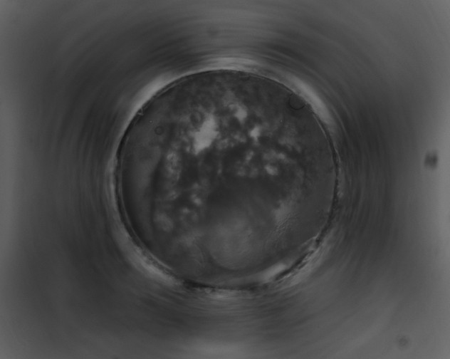 X0000102000899200807181202