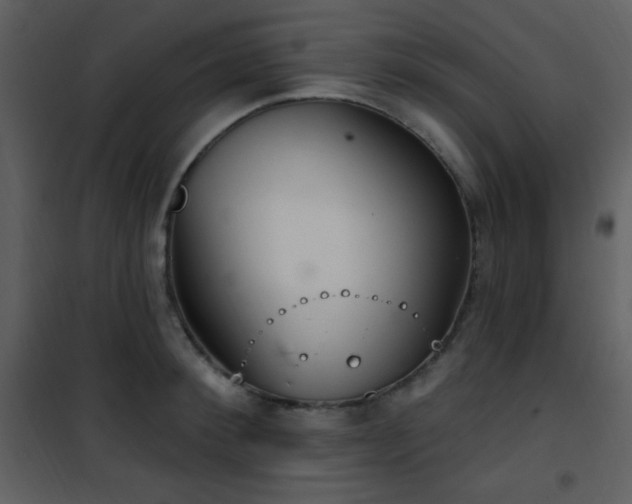 X0000102000900200807181202