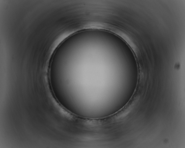 X0000102000901200807181202