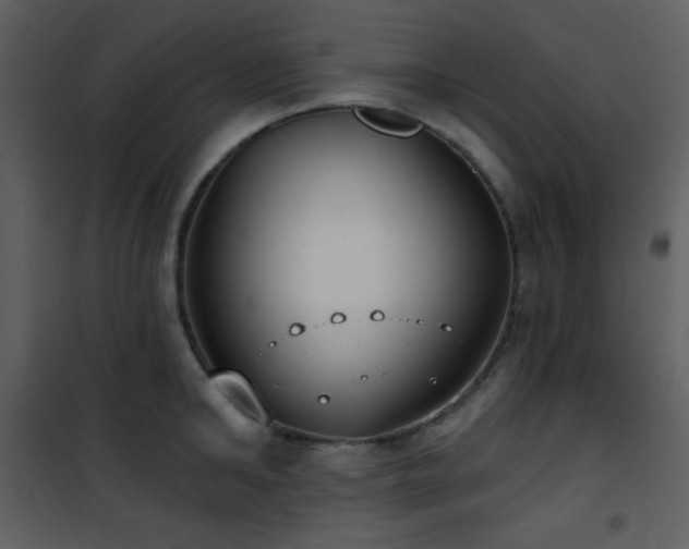 X0000102000902200807181202