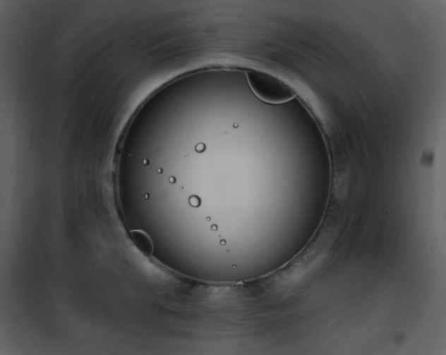 X0000102000903200807181202