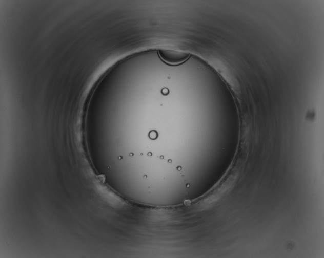 X0000102000904200807181202