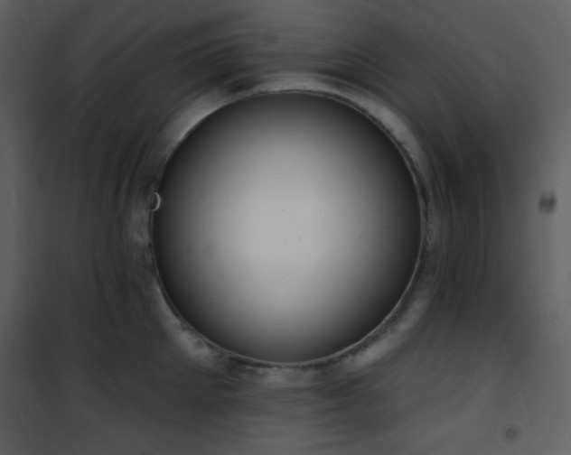 X0000102000905200807181202