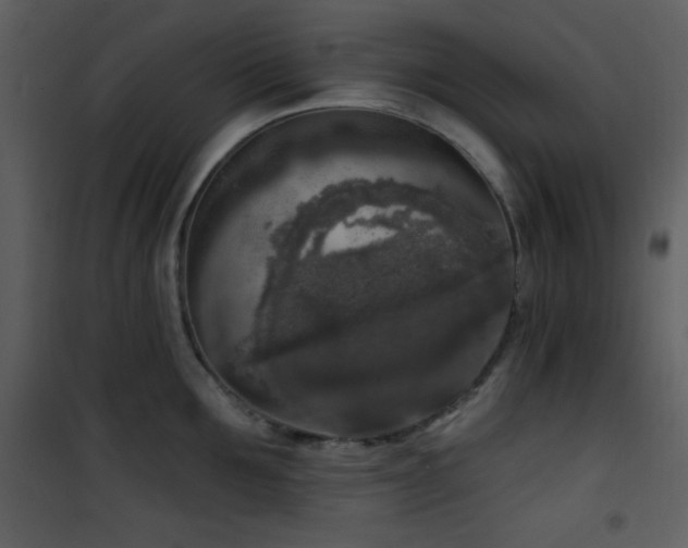 X0000102000907200807181202