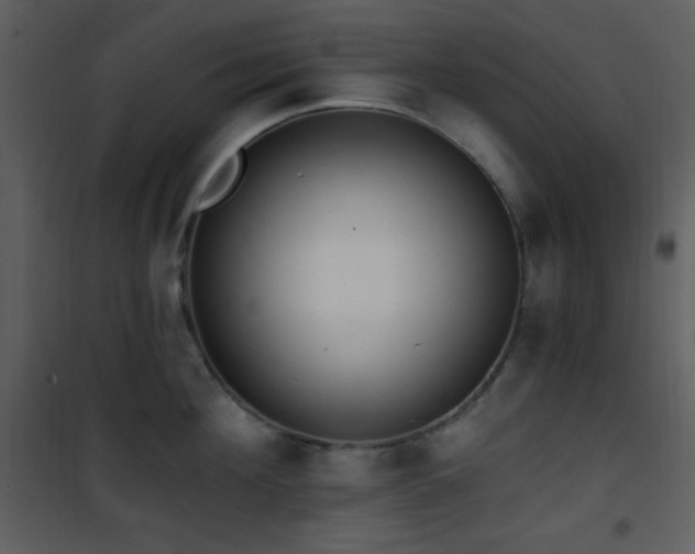 X0000102000908200807181202