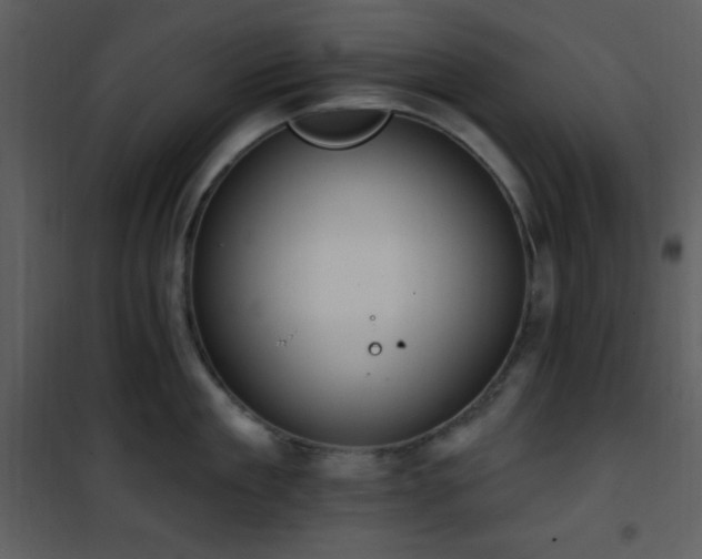 X0000102000909200807181202