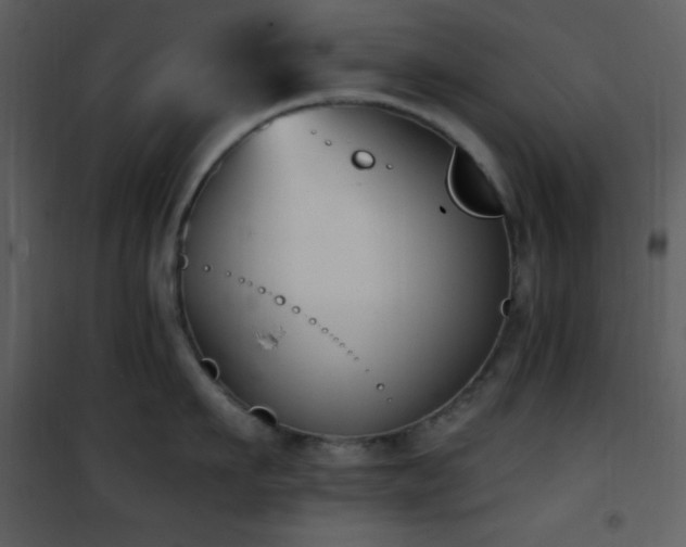 X0000102000911200807181202