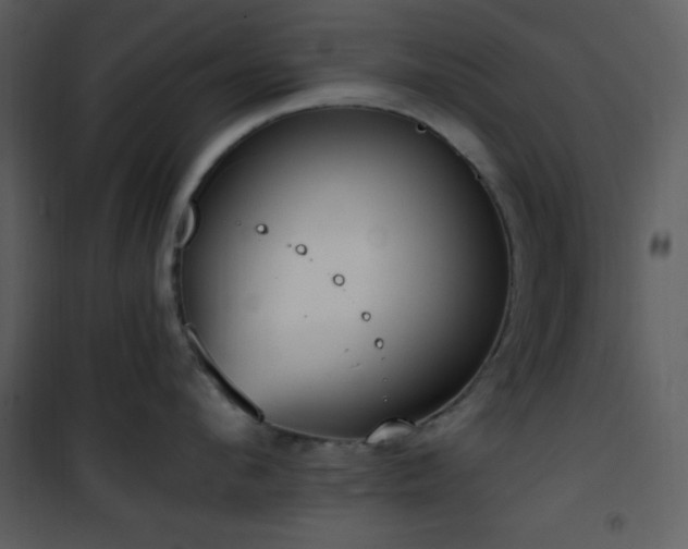 X0000102000912200807181202