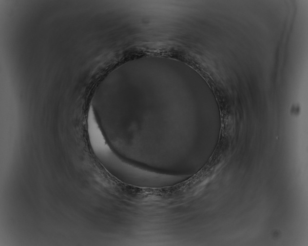 X0000102000913200807181201