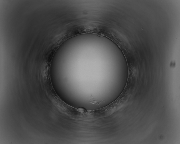 X0000102000914200807181201