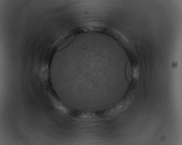 X0000102000915200807181201