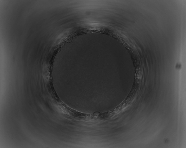 X0000102000916200807181201