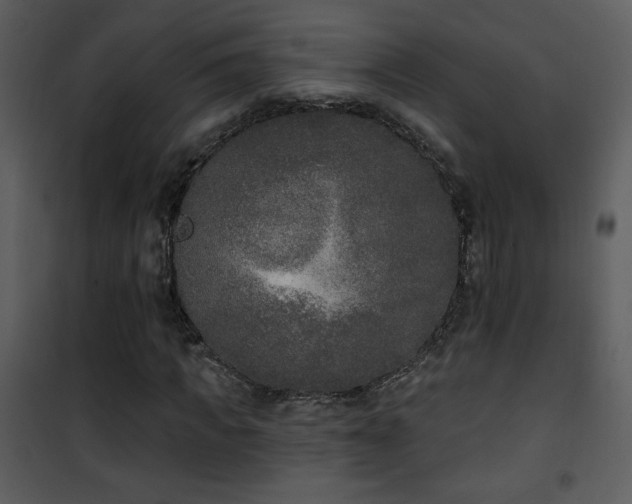 X0000102000917200807181201