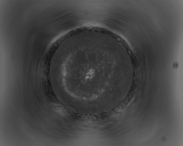 X0000102000919200807181201