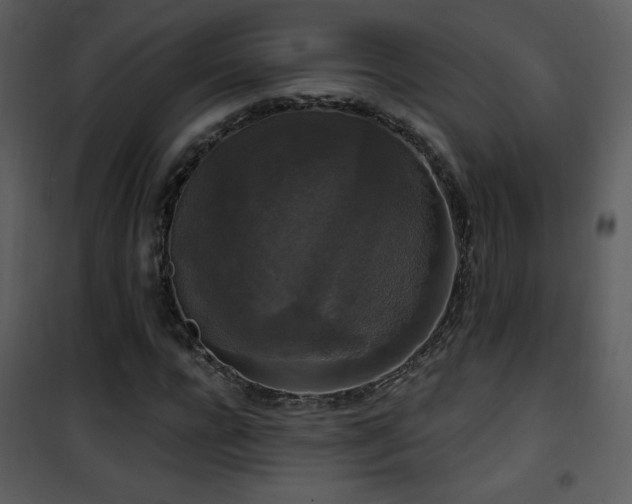 X0000102000920200807181201