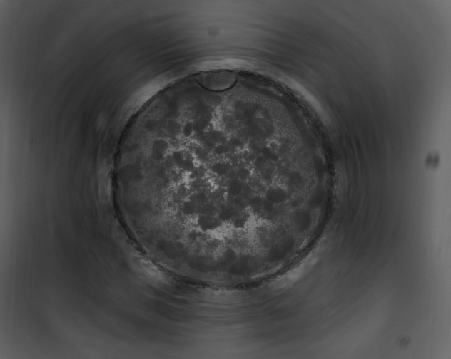 X0000102000921200807181201