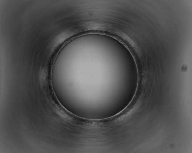 X0000102000922200807181201