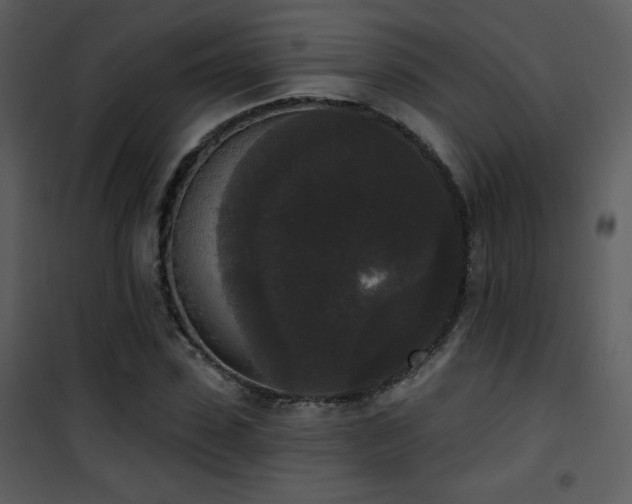 X0000102000923200807181201