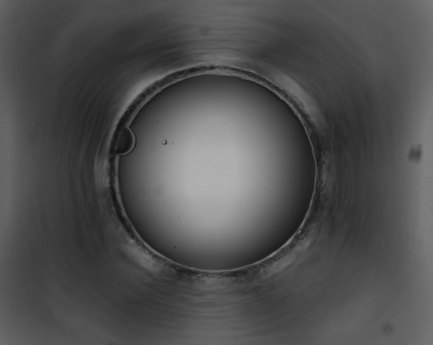 X0000102000924200807181201