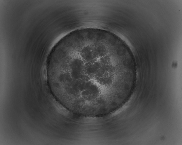 X0000102000925200807181201