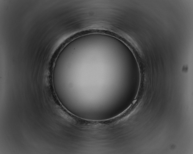 X0000102000926200807181201