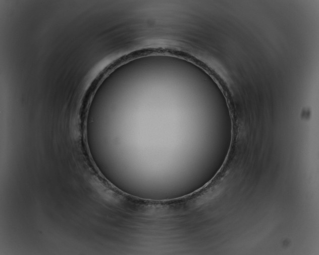 X0000102000927200807181201