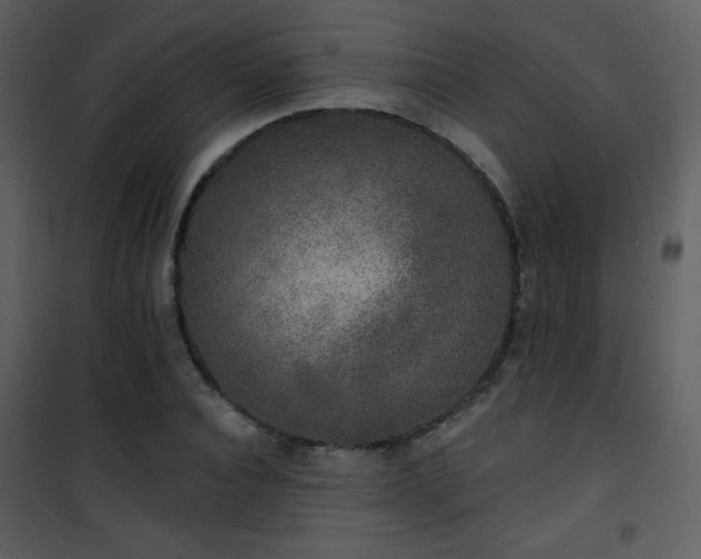 X0000102000928200807181201