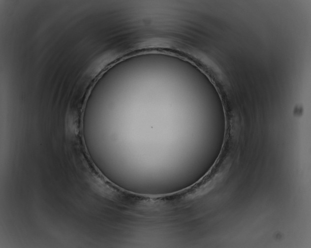 X0000102000929200807181201