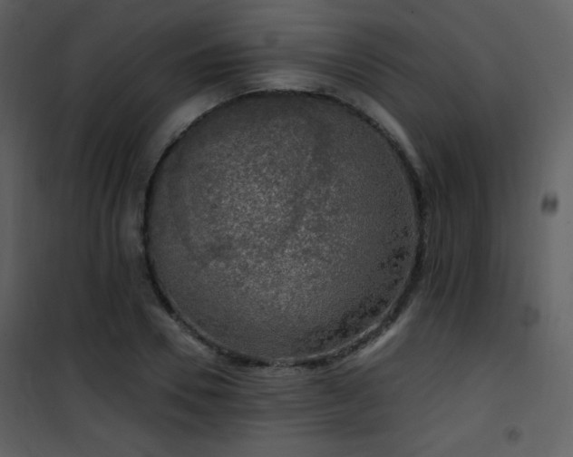 X0000102000930200807181201