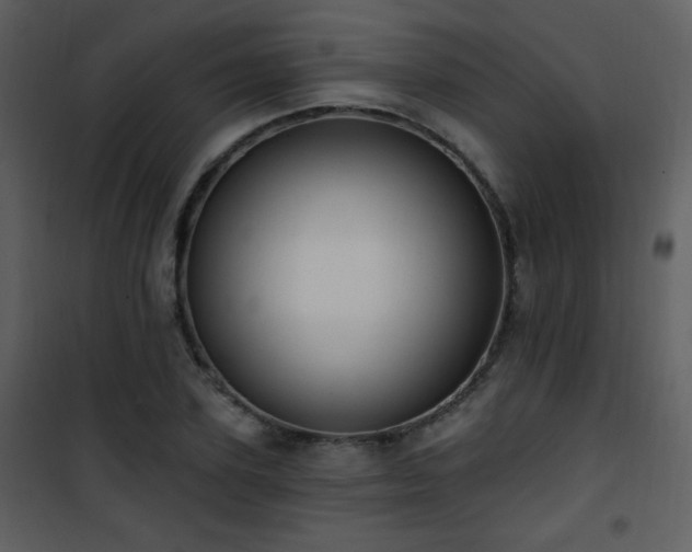 X0000102000931200807181201