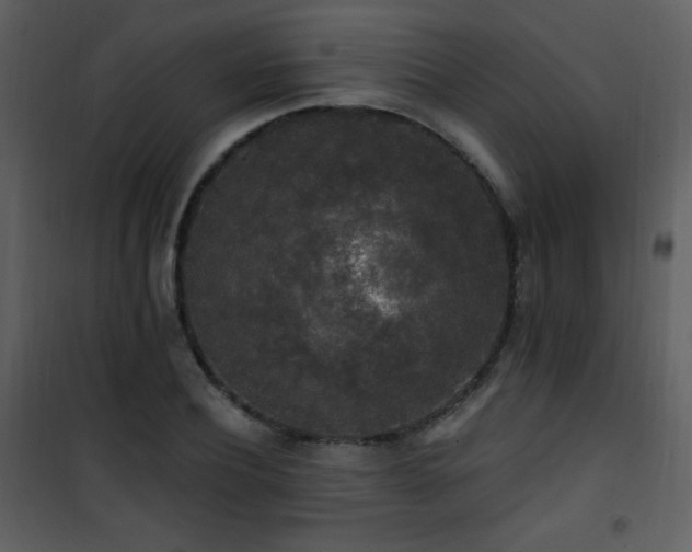 X0000102000932200807181201