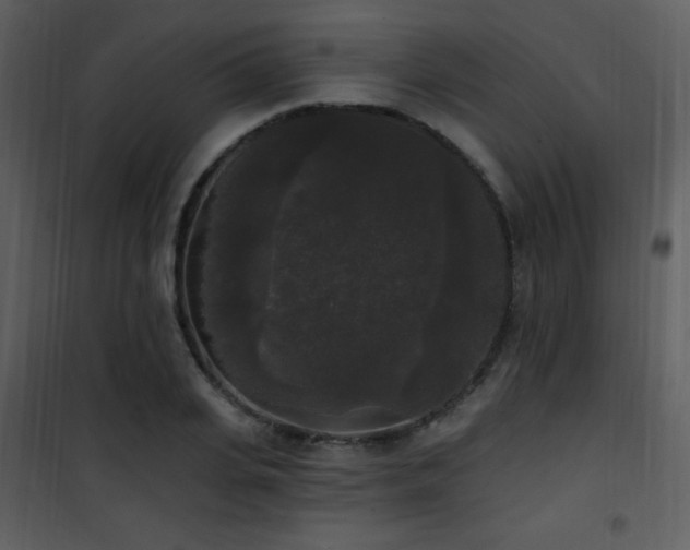 X0000102000935200807181201