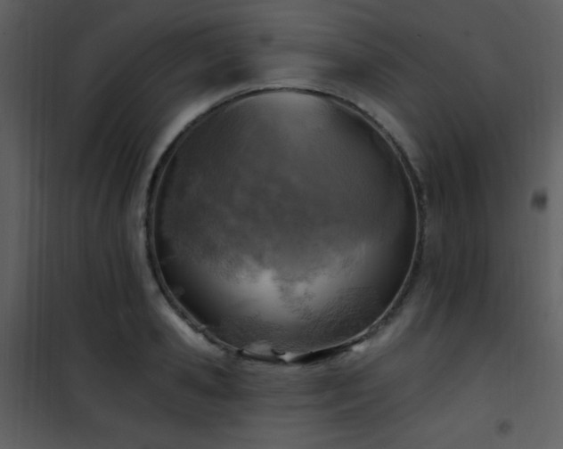 X0000102000941200807181201