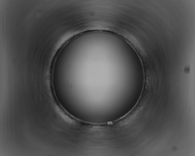 X0000102000942200807181201