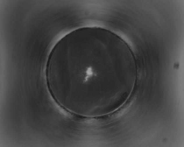 X0000102000943200807181201