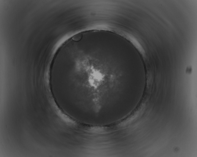 X0000102000944200807181202