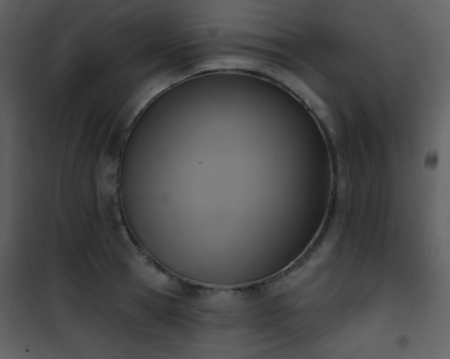 X0000102000945200807181202