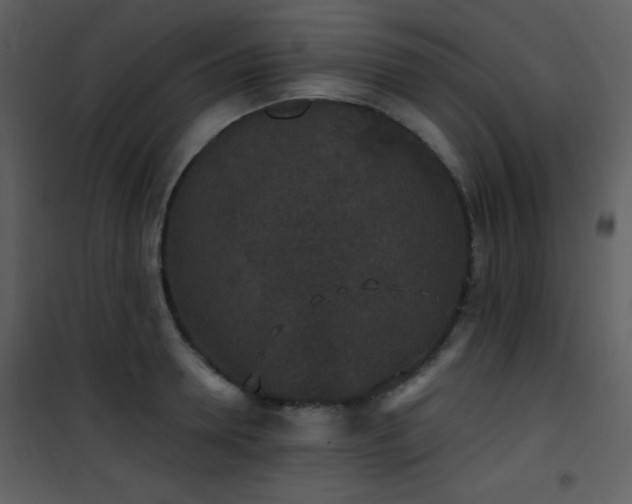 X0000102000946200807181202