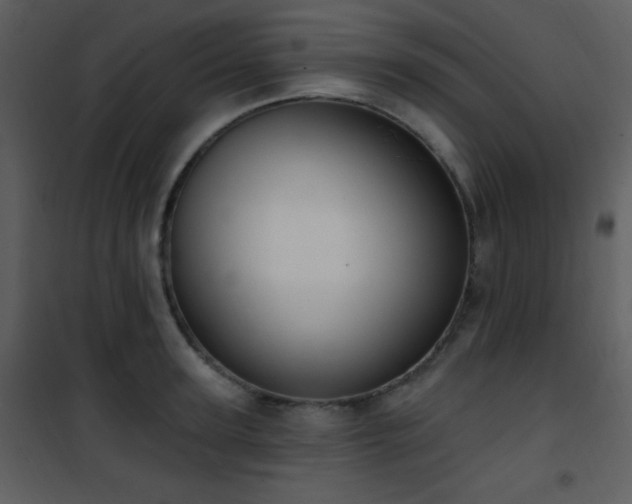 X0000102000947200807181202