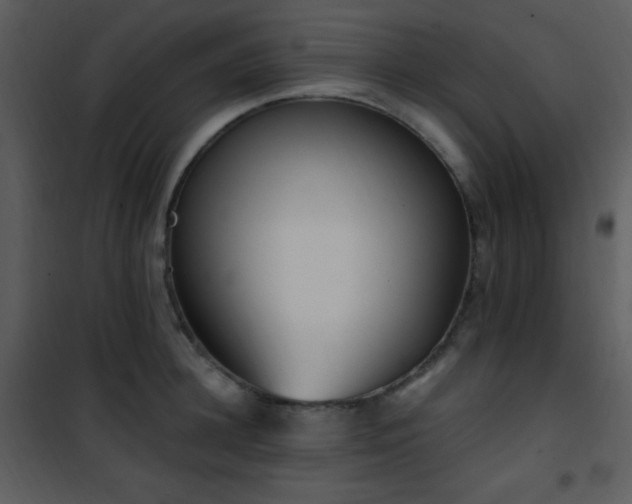 X0000102000948200807181202