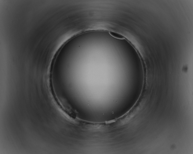 X0000102000949200807181202