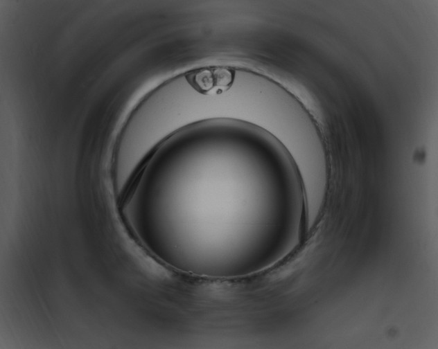 X0000102000950200807181202