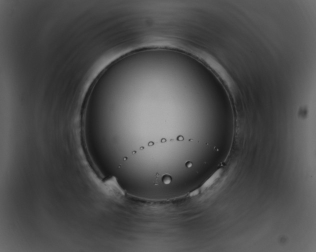 X0000102000951200807181202