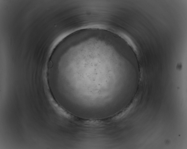 X0000102000952200807181202